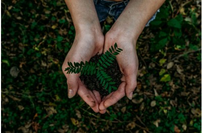 New 'sustainability' events programme is launched