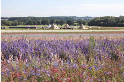 Change of Dates For Shropshire Petal Fields Amidst Heatwave
