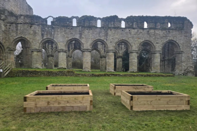 website image 20